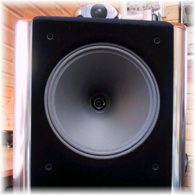 Tannoy D 12