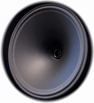 Tannoy D 12